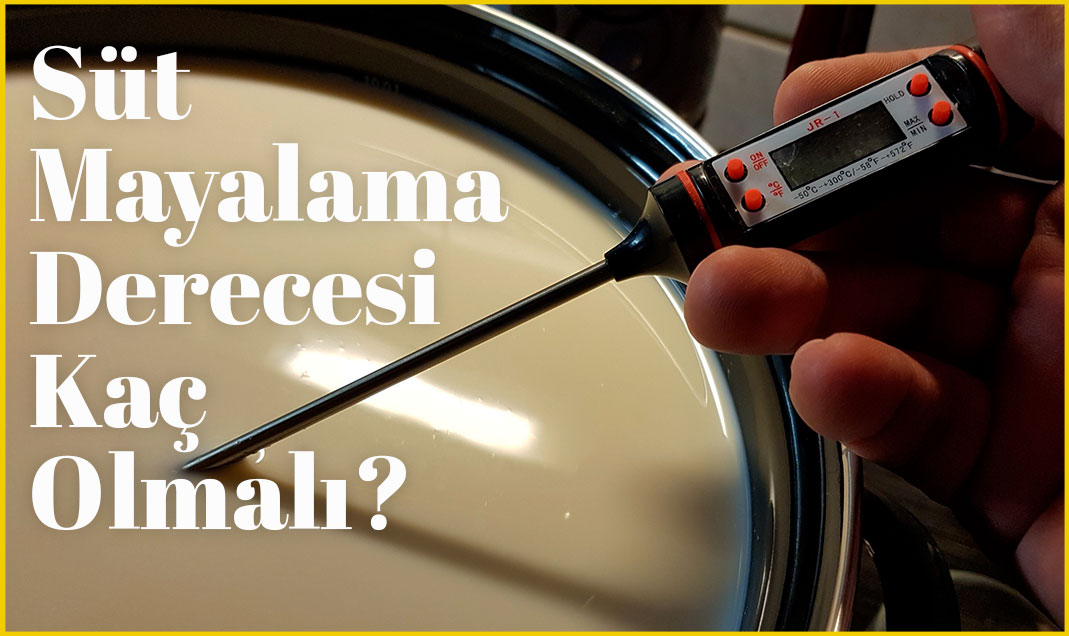 Yoğurt Mayalama Derecesi Kaç Derecedir?